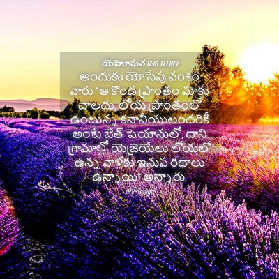 Picture 04 - యెహోషువ 17:16 TELIRV - అందుకు యోసేపు - Bible Verse Picture
