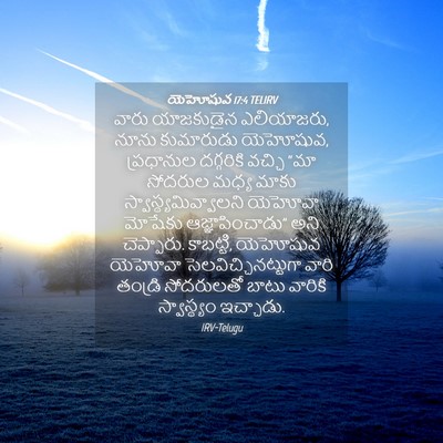 Picture 04 - యెహోషువ 17:4 TELIRV - వారు యాజకుడైన - Bible Verse Picture