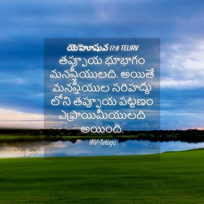 Picture 04 - యెహోషువ 17:8 TELIRV - తప్పూయ భూభాగం - Bible Verse Picture