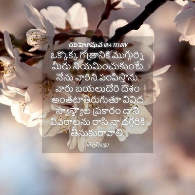 Picture 04 - యెహోషువ 18:4 TELIRV - ఒక్కొక్క - Bible Verse Picture