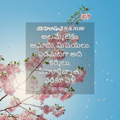 Picture 04 - యెహోషువ 19:26 TELIRV - అలమ్మేలెకు, అమాదు, - Bible Verse Picture