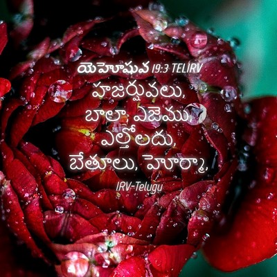Picture 04 - యెహోషువ 19:3 TELIRV - హజర్షువలు, బాలా, - Bible Verse Picture