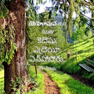 Picture 04 - యెహోషువ 19:37 TELIRV - కెదెషు, ఎద్రెయీ, - Bible Verse Picture