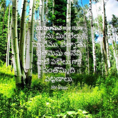 Picture 04 - యెహోషువ 19:38 TELIRV - ఇరోను, మిగ్దలేలు, - Bible Verse Picture