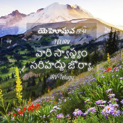 Picture 04 - యెహోషువ 19:41 TELIRV - వారి స్వాస్థ్యం - Bible Verse Picture