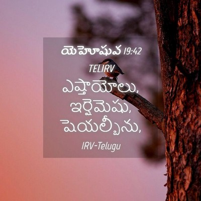 Picture 04 - యెహోషువ 19:42 TELIRV - ఎష్తాయోలు, - Bible Verse Picture
