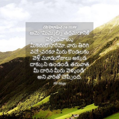Picture 04 - యెహోషువ 2:16 TELIRV - ఆమె “మిమ్మల్ని - Bible Verse Picture