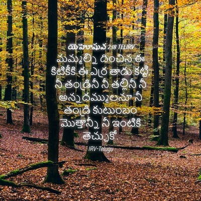 Picture 04 - యెహోషువ 2:18 TELIRV - మమ్మల్ని దించిన ఈ - Bible Verse Picture