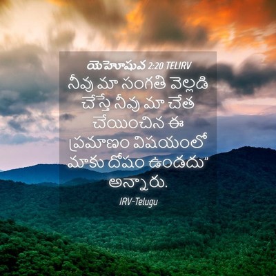 Picture 04 - యెహోషువ 2:20 TELIRV - నీవు మా సంగతి - Bible Verse Picture