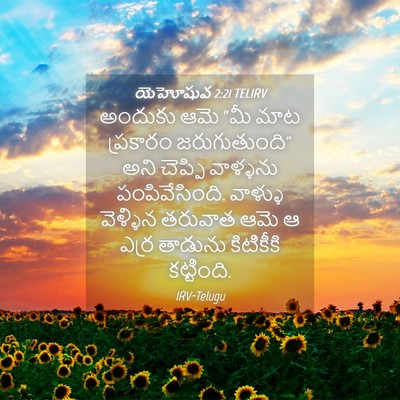 Picture 04 - యెహోషువ 2:21 TELIRV - అందుకు ఆమె “మీ మాట - Bible Verse Picture
