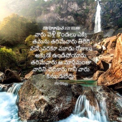 Picture 04 - యెహోషువ 2:22 TELIRV - వారు వెళ్లి - Bible Verse Picture