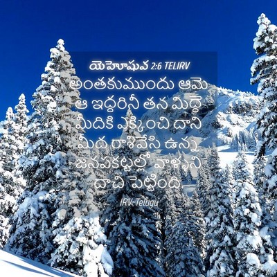 Picture 04 - యెహోషువ 2:6 TELIRV - అంతకుముందు ఆమె ఆ - Bible Verse Picture