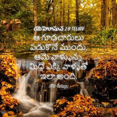 Picture 04 - యెహోషువ 2:8 TELIRV - ఆ గూఢచారులు - Bible Verse Picture