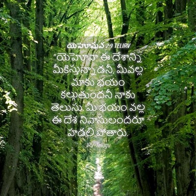 Picture 04 - యెహోషువ 2:9 TELIRV - “యెహోవా ఈ - Bible Verse Picture