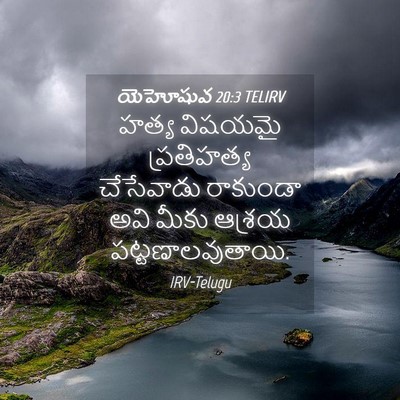 Picture 04 - యెహోషువ 20:3 TELIRV - హత్య విషయమై - Bible Verse Picture
