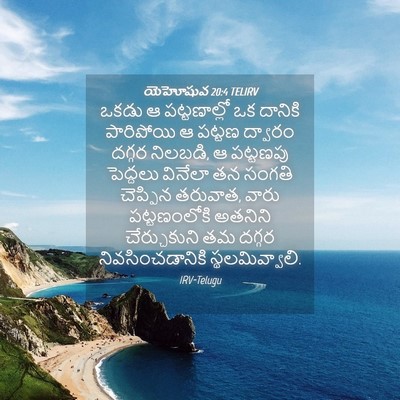 Picture 04 - యెహోషువ 20:4 TELIRV - ఒకడు ఆ పట్టణాల్లో - Bible Verse Picture