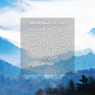 Picture 04 - యెహోషువ 21:12 TELIRV - అయితే ఆ పట్టణ - Bible Verse Picture
