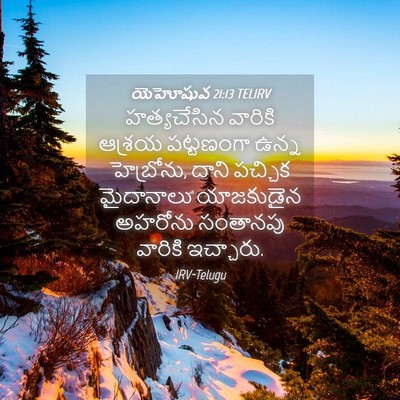 Picture 04 - యెహోషువ 21:13 TELIRV - హత్యచేసిన వారికి - Bible Verse Picture