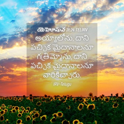 Picture 04 - యెహోషువ 21:24 TELIRV - అయ్యాలోను, దాని - Bible Verse Picture