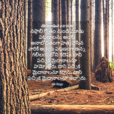 Picture 04 - యెహోషువ 21:32 TELIRV - నఫ్తాలి గోత్రం - Bible Verse Picture