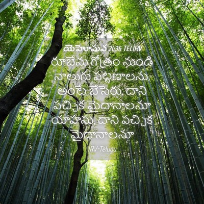 Picture 04 - యెహోషువ 21:36 TELIRV - రూబేను గోత్రం - Bible Verse Picture