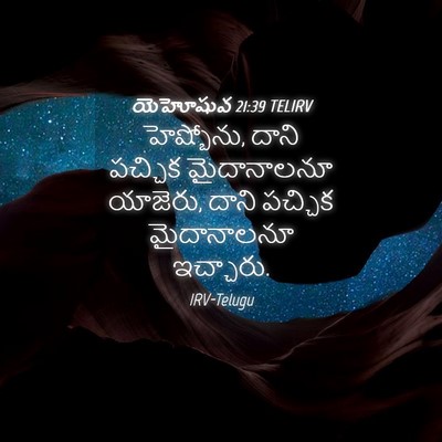 Picture 04 - యెహోషువ 21:39 TELIRV - హెష్బోను, దాని - Bible Verse Picture
