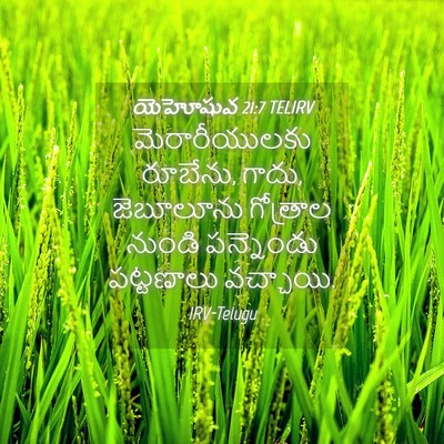 Picture 04 - యెహోషువ 21:7 TELIRV - మెరారీయులకు - Bible Verse Picture