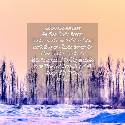 Picture 04 - యెహోషువ 22:18 TELIRV - ఈ రోజు మీరు కూడా - Bible Verse Picture
