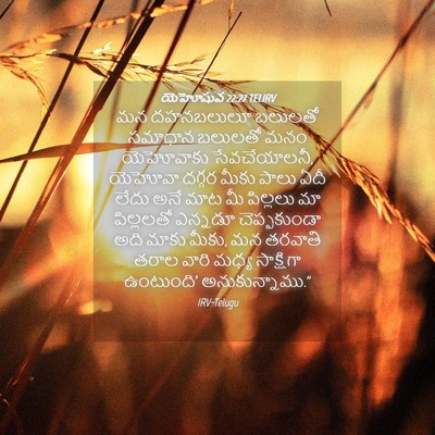 Picture 04 - యెహోషువ 22:27 TELIRV - మన దహనబలులూ - Bible Verse Picture