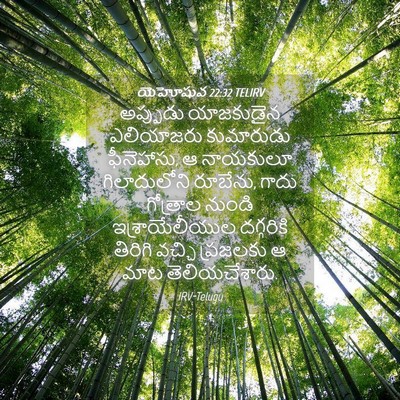Picture 04 - యెహోషువ 22:32 TELIRV - అప్పుడు యాజకుడైన - Bible Verse Picture