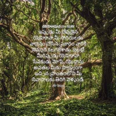 Picture 04 - యెహోషువ 22:4 TELIRV - ఇప్పుడు మీ - Bible Verse Picture