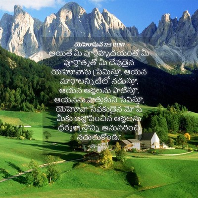 Picture 04 - యెహోషువ 22:5 TELIRV - అయితే మీ - Bible Verse Picture