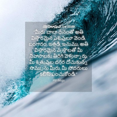 Picture 04 - యెహోషువ 22:8 TELIRV - “మీరు చాలా ధనంతో - Bible Verse Picture