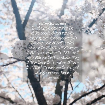 Picture 04 - యెహోషువ 23:13 TELIRV - మీ దేవుడైన యెహోవా - Bible Verse Picture