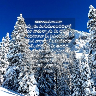 Picture 04 - యెహోషువ 23:14 TELIRV - ఇప్పుడు - Bible Verse Picture