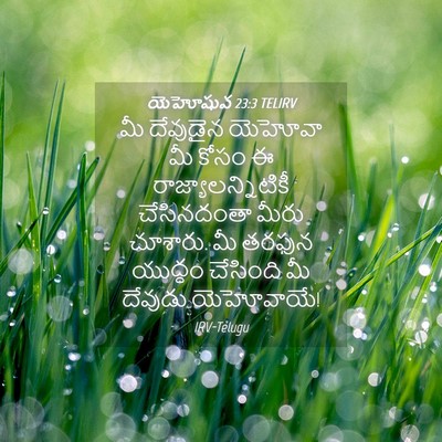 Picture 04 - యెహోషువ 23:3 TELIRV - మీ దేవుడైన యెహోవా - Bible Verse Picture