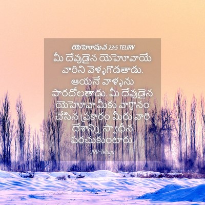 Picture 04 - యెహోషువ 23:5 TELIRV - మీ దేవుడైన - Bible Verse Picture