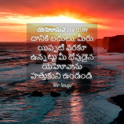 Picture 04 - యెహోషువ 23:8 TELIRV - దానికి బదులు, మీరు - Bible Verse Picture
