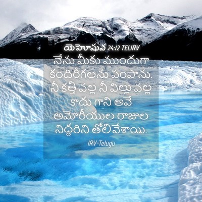 Picture 04 - యెహోషువ 24:12 TELIRV - నేను మీకు ముందుగా - Bible Verse Picture