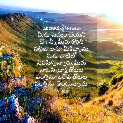 Picture 04 - యెహోషువ 24:13 TELIRV - మీరు సేద్యం చేయని - Bible Verse Picture