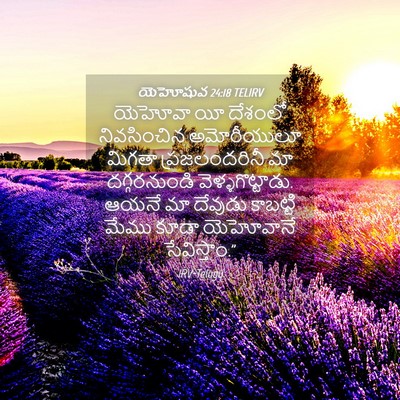Picture 04 - యెహోషువ 24:18 TELIRV - యెహోవా యీ దేశంలో - Bible Verse Picture