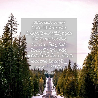 Picture 04 - యెహోషువ 24:20 TELIRV - మీరు యెహోవాను - Bible Verse Picture