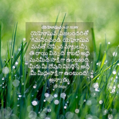 Picture 04 - యెహోషువ 24:27 TELIRV - యెహోషువ - Bible Verse Picture
