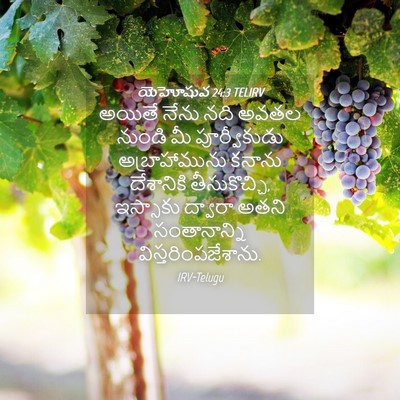 Picture 04 - యెహోషువ 24:3 TELIRV - అయితే నేను నది - Bible Verse Picture