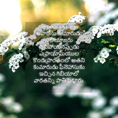 Picture 04 - యెహోషువ 24:33 TELIRV - అహరోను కుమారుడు - Bible Verse Picture