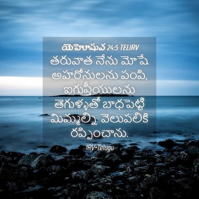 Picture 04 - యెహోషువ 24:5 TELIRV - తరువాత నేను మోషే - Bible Verse Picture