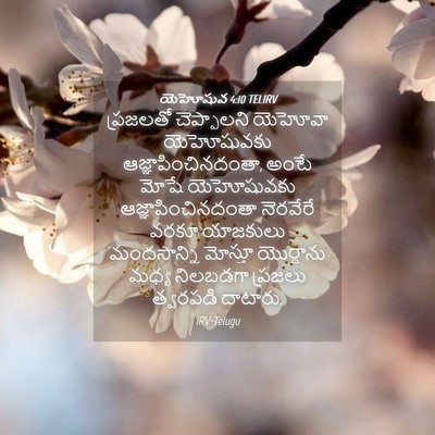 Picture 04 - యెహోషువ 4:10 TELIRV - ప్రజలతో చెప్పాలని - Bible Verse Picture