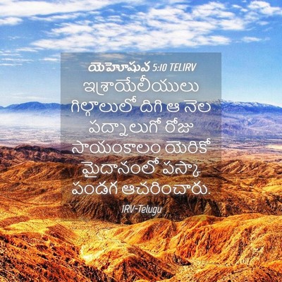 Picture 04 - యెహోషువ 5:10 TELIRV - ఇశ్రాయేలీయులు - Bible Verse Picture