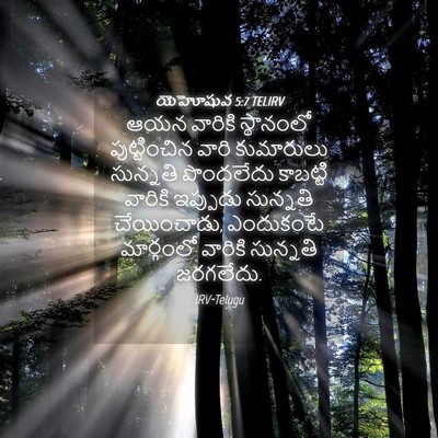 Picture 04 - యెహోషువ 5:7 TELIRV - ఆయన వారికి - Bible Verse Picture