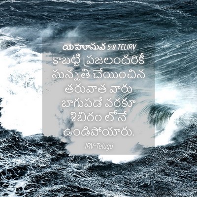 Picture 04 - యెహోషువ 5:8 TELIRV - కాబట్టి - Bible Verse Picture